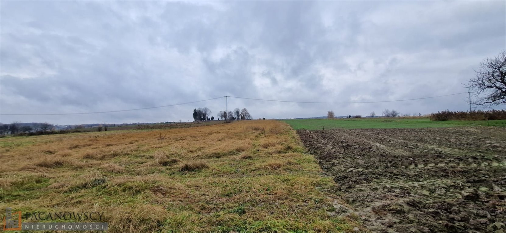 Działka budowlana na sprzedaż Biały Kościół  6 900m2 Foto 2