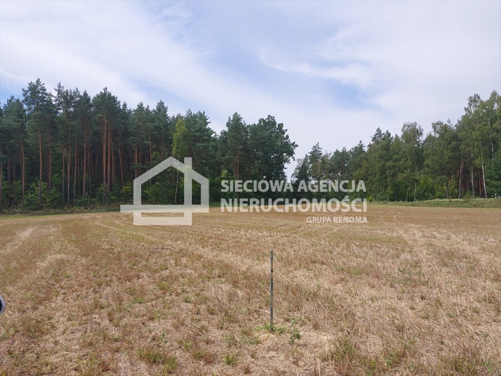 Działka siedliskowa na sprzedaż Grabowo  3 452m2 Foto 1