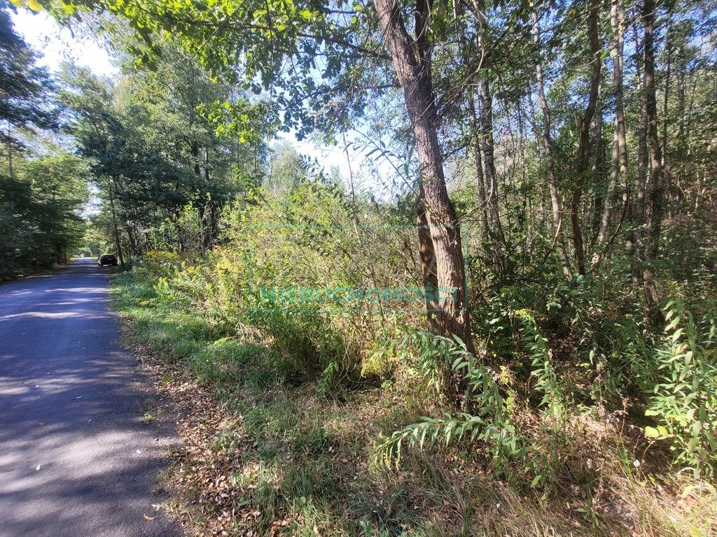 Działka budowlana na sprzedaż Radonie  1 500m2 Foto 3