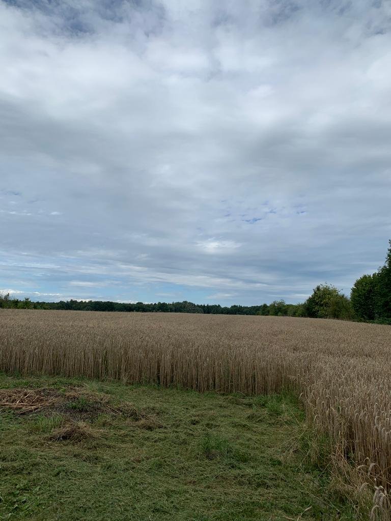 Działka gospodarstwo rolne na sprzedaż Wola Lipieniecka Duża  23 700m2 Foto 6