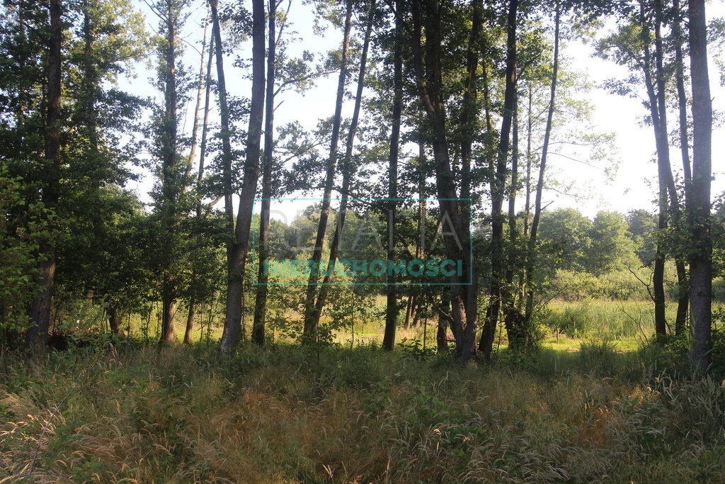Działka leśna 25 000 m² z planem pod zabudowę siedliskową Bystrzanów  25 000m2 Foto 1
