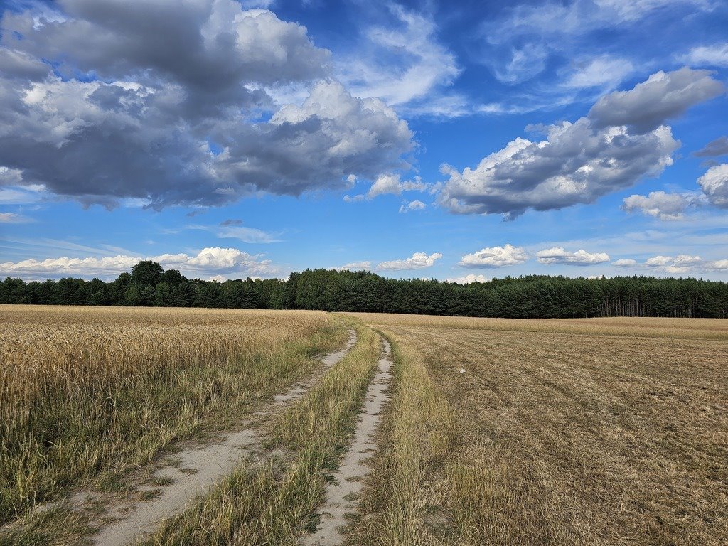 Działka inna na sprzedaż Leszkowice  21 188m2 Foto 7