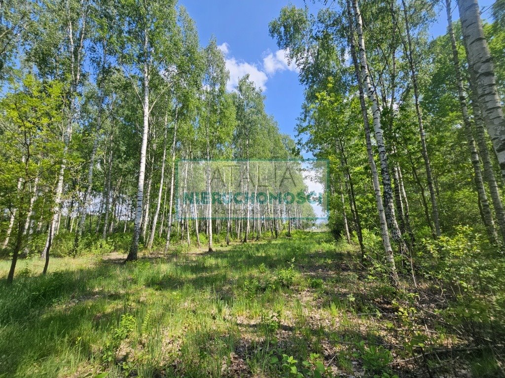 Działka 1200 m² z mediami (MPZP) w Kozerkach, blisko Grodziska Grodzisk Mazowiecki  1 200m2 Foto 1