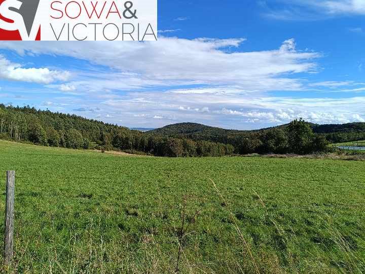 Działka inna na sprzedaż Michałkowa  3 000m2 Foto 4