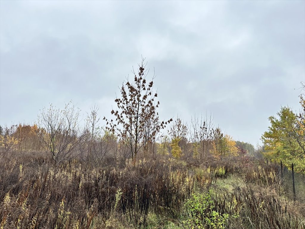 Działka rolna na sprzedaż Sochaczew, Rozlazłowska  4 070m2 Foto 1