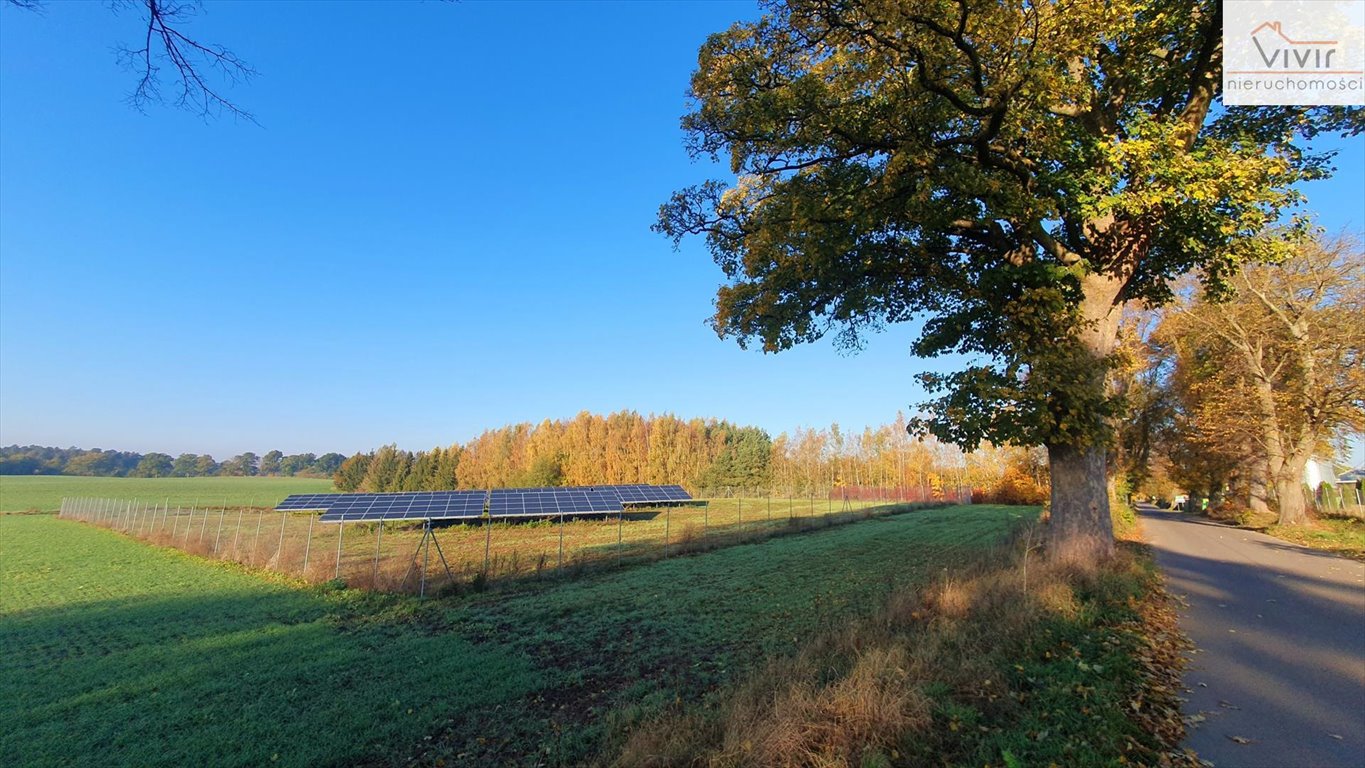 Działka inna na sprzedaż Rumsko  26 811m2 Foto 2