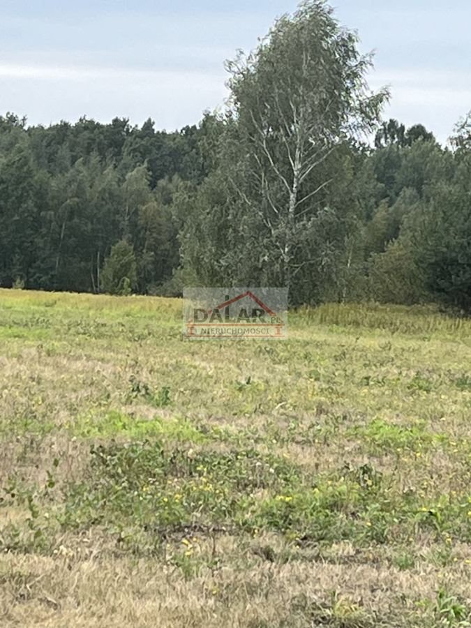 Działka budowlana na sprzedaż Krupia Wólka  900m2 Foto 3