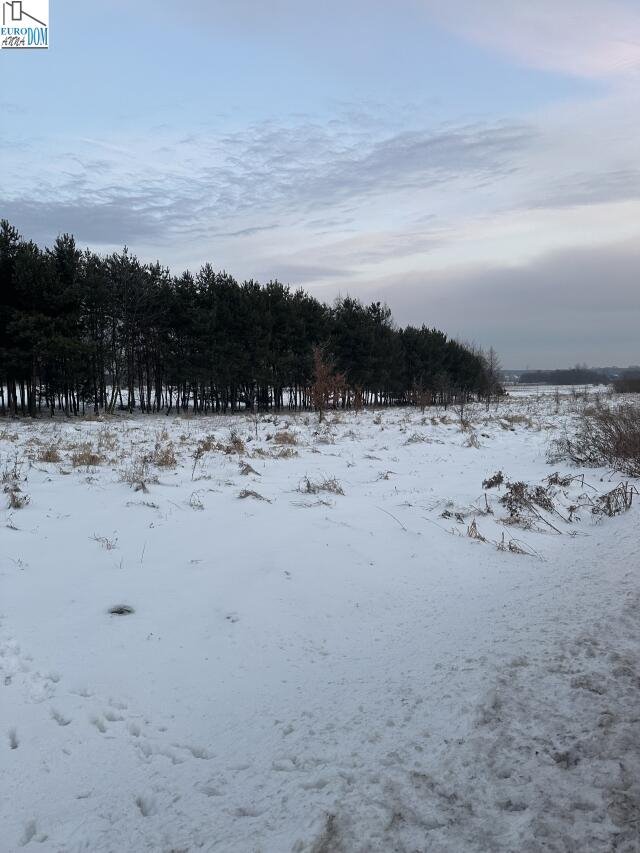 Działka budowlana na sprzedaż Dąbie  760m2 Foto 6