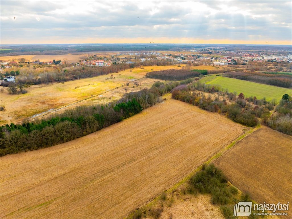 Do sprzedania działka rolna 7159 m² z drzewami i dostępem do drogi: Nowogard Obrzeża miasta