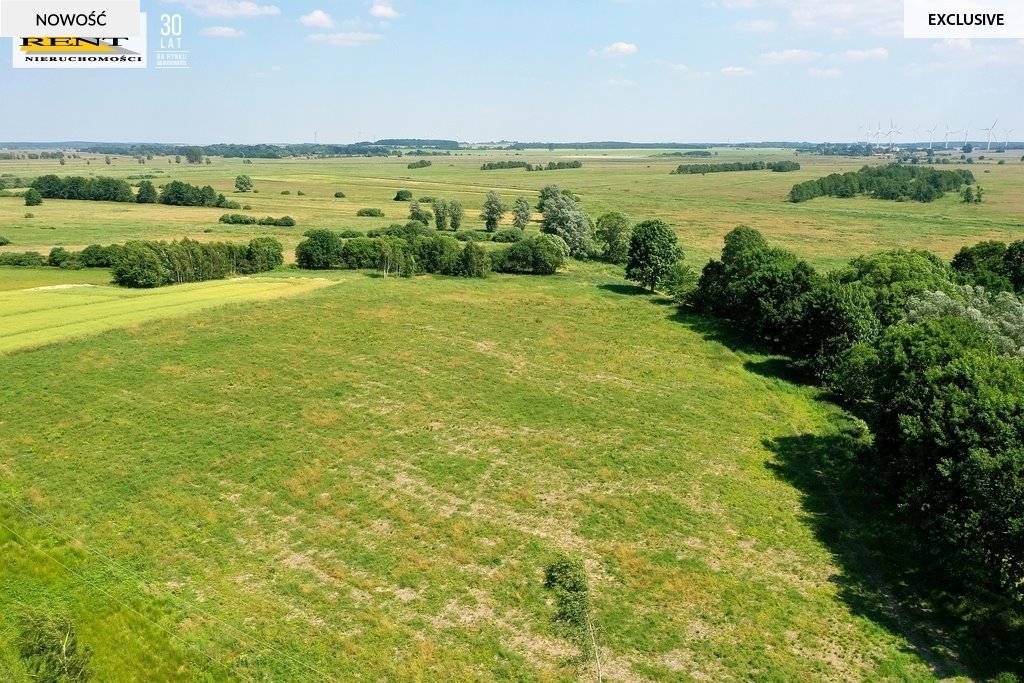 Działka budowlana na sprzedaż Rewal  1 326m2 Foto 8