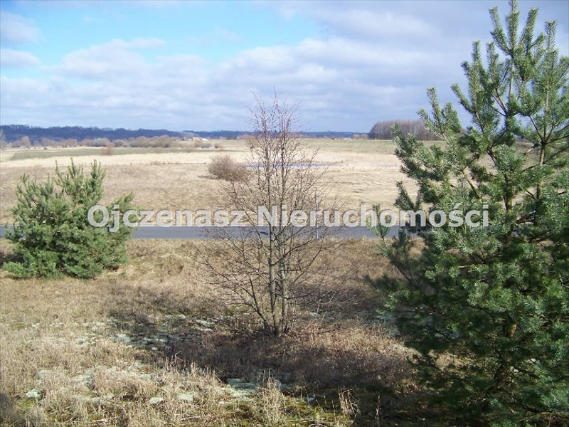 Działka 3996 m² z pięknymi widokami i blisko lasów Czarże  3 996m2 Foto 1