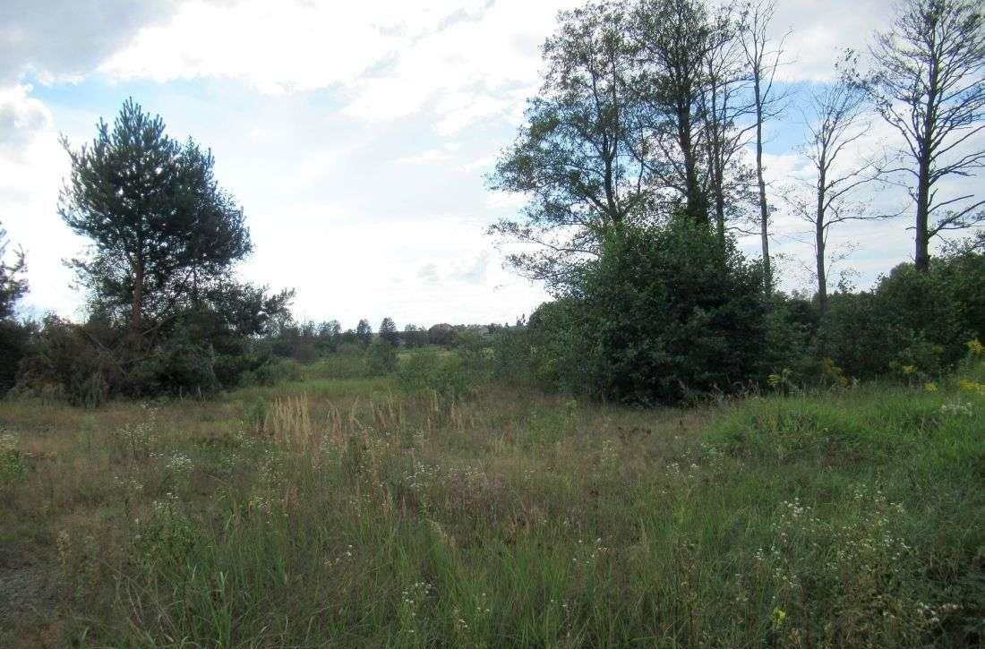 Działka pod rezydencję z panoramicznym widokiem i mediami Ciosowa, ul. Ślefarnia  7 109m2 Foto 1