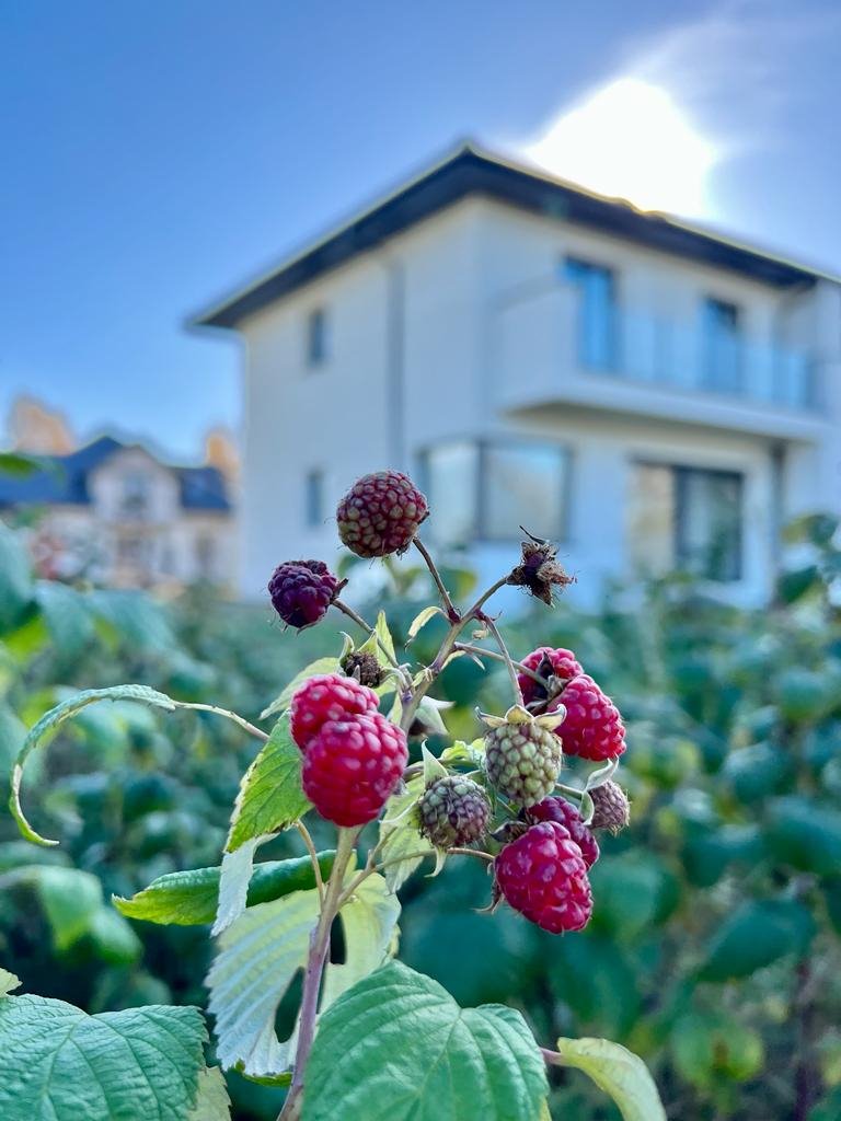 Dom na sprzedaż Wola Przypkowska, Piękna 7g  125m2 Foto 11