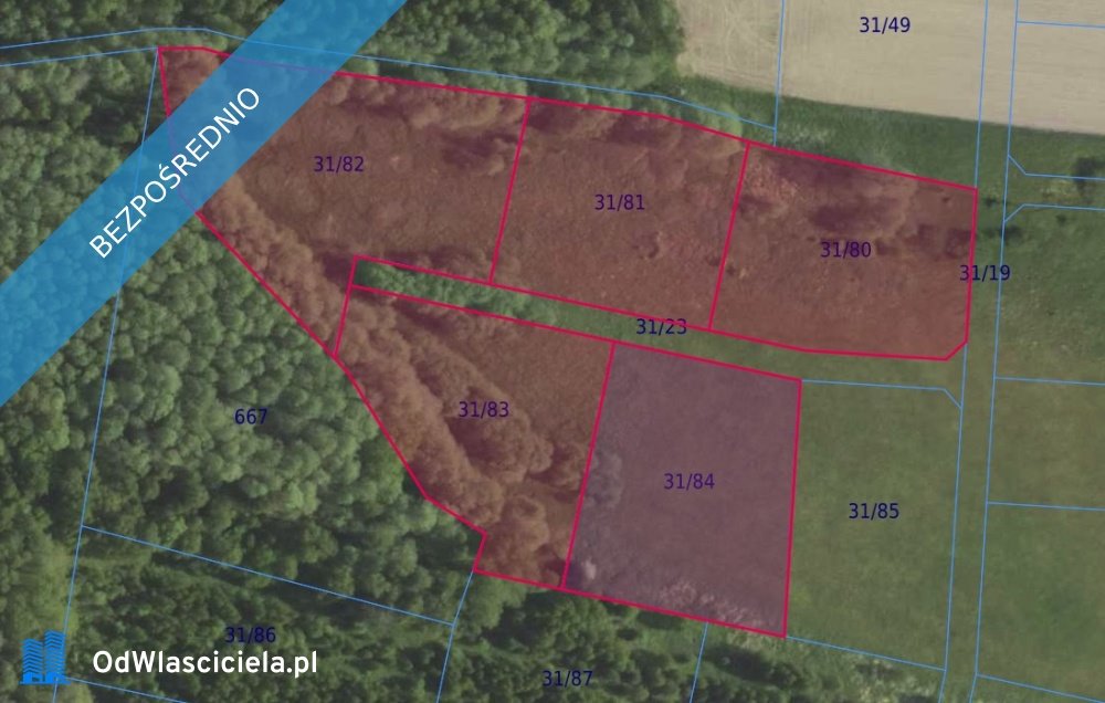 Działka na sprzedaż 18 119 m2 w Grabowno Wielkie Grabowno Wielkie  18 119m2 Foto 1