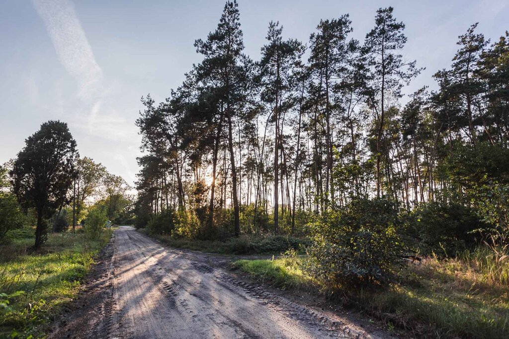 Działka 22 169 m² z lasami i dostępem do drogi - polecam! Aleksandrówek  22 169m2 Foto 1