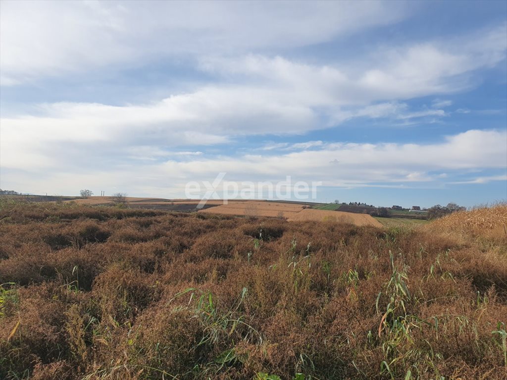 Działka siedliskowa na sprzedaż Kocmyrzów  8 800m2 Foto 4