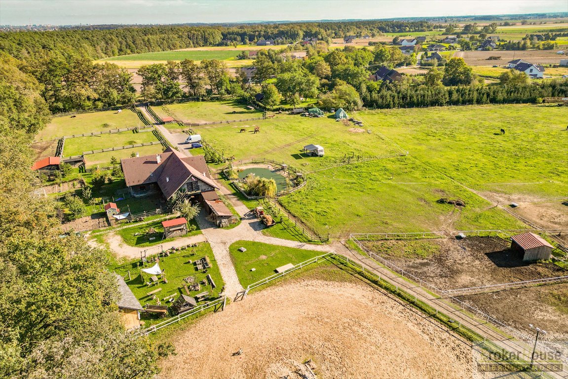 Lokal użytkowy na sprzedaż Opole  455m2 Foto 2