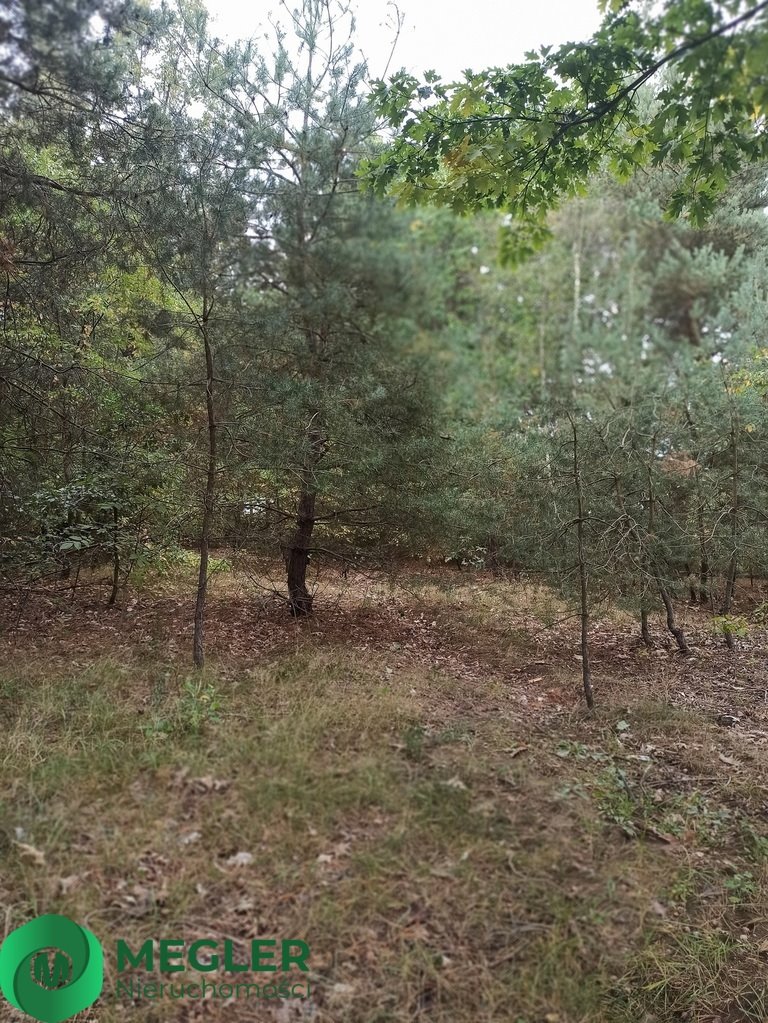 Działka budowlana na sprzedaż Zalesie  1 300m2 Foto 9