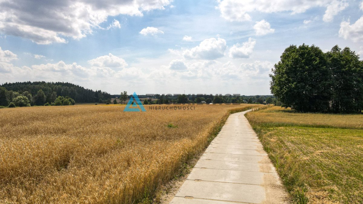 Działka rolna na sprzedaż Szczodrowo  38 300m2 Foto 7