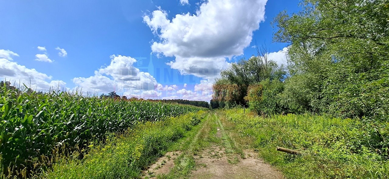 Do sprzedania działka 29 600 m² las, spokój, potencjał Tarnowiec  29 600m2 Foto 1