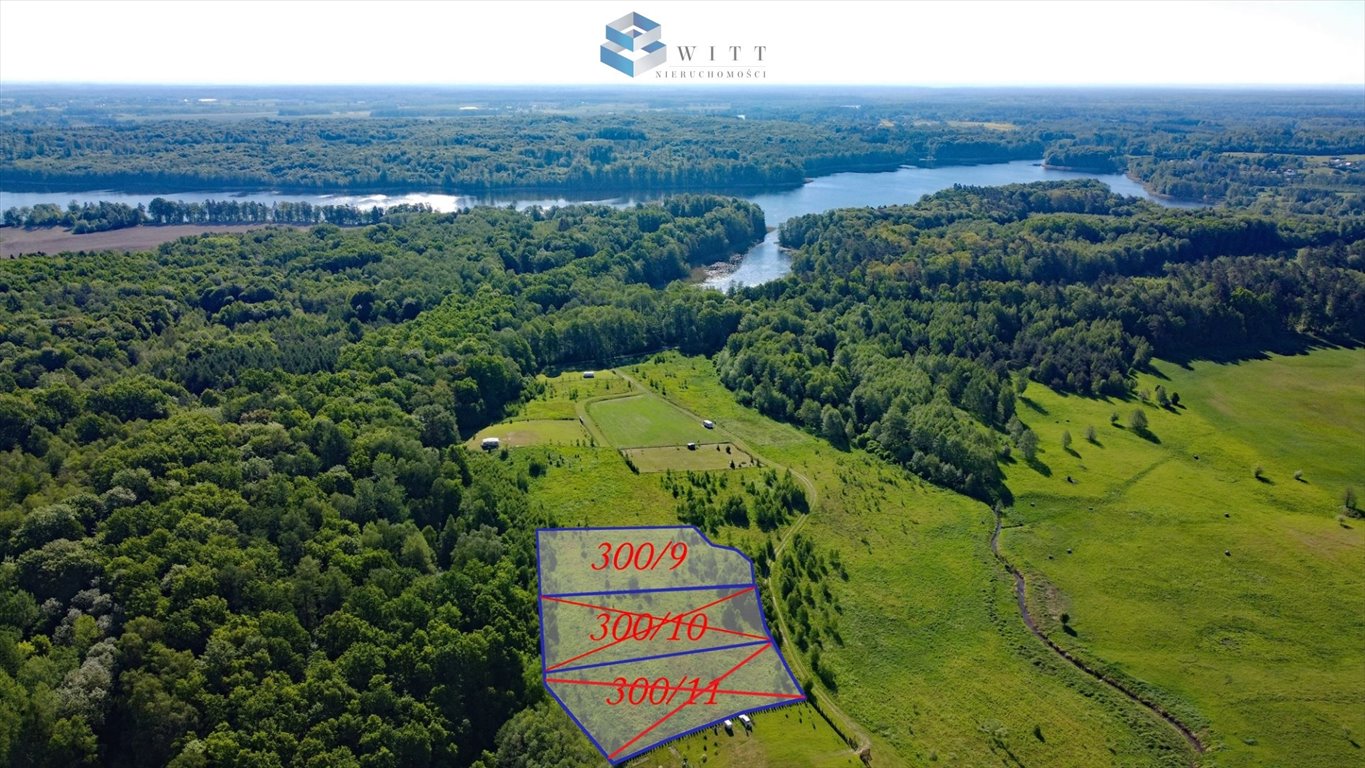 Działka budowlana na sprzedaż Dziśnity  2 942m2 Foto 1