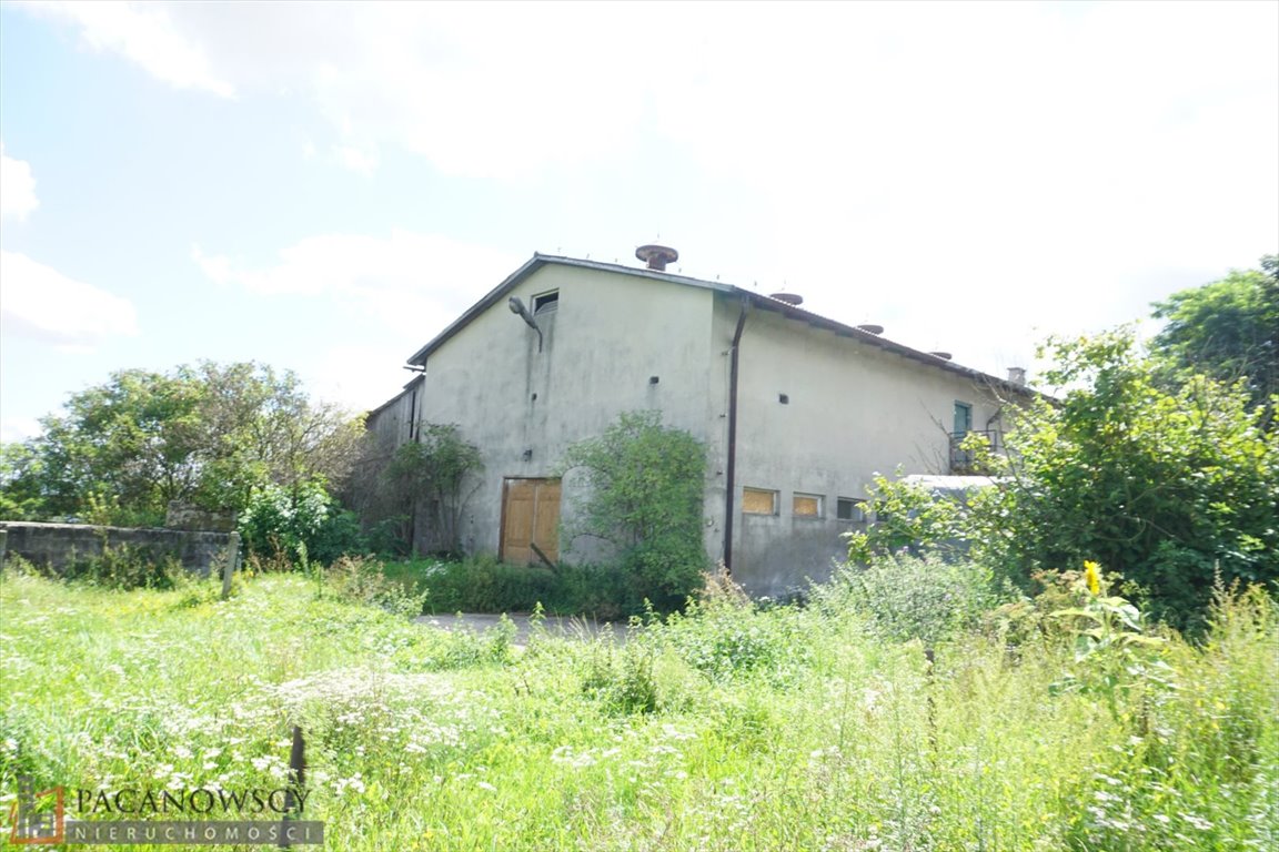 Działka inna pod dzierżawę Pisary  9 500m2 Foto 9