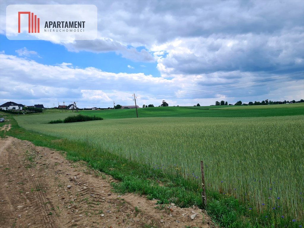 Działka przemysłowo-handlowa na sprzedaż Wielki Klincz  1 500m2 Foto 4