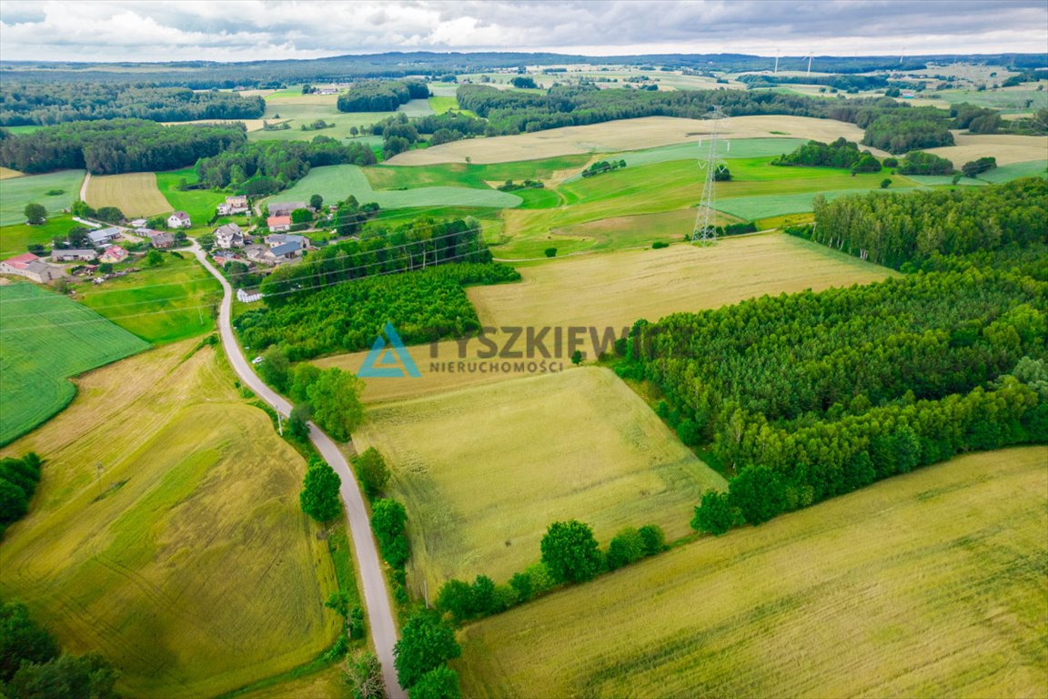 Działka budowlana na sprzedaż Dąbrówka  7 800m2 Foto 8