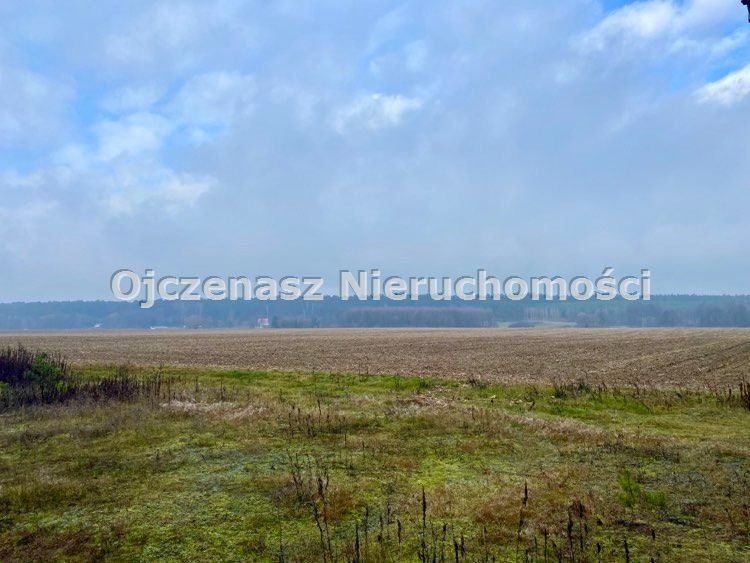 Działka inwestycyjna 21 317 m² z drogami i prądem Czarnowo  21 317m2 Foto 1