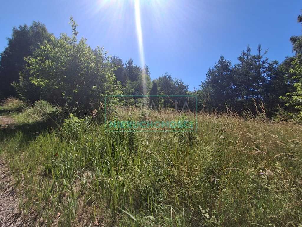 Działka budowlana na sprzedaż Budy-Grzybek  4 845m2 Foto 1