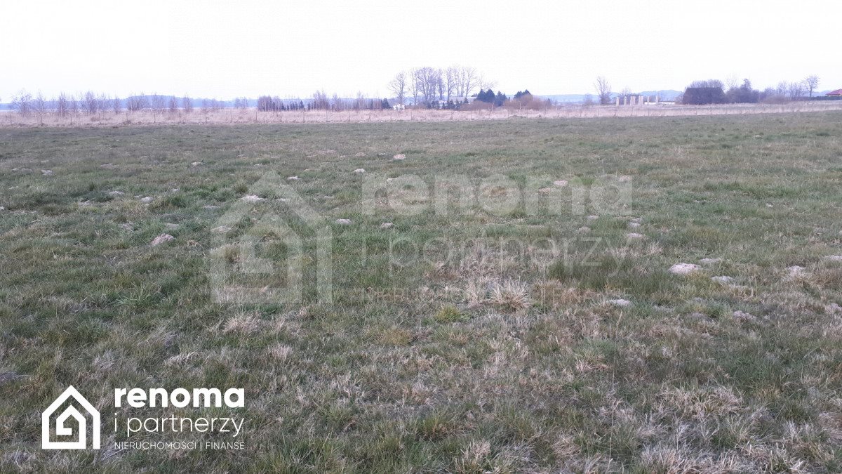 Działka budowlana na sprzedaż Mielenko  956m2 Foto 4