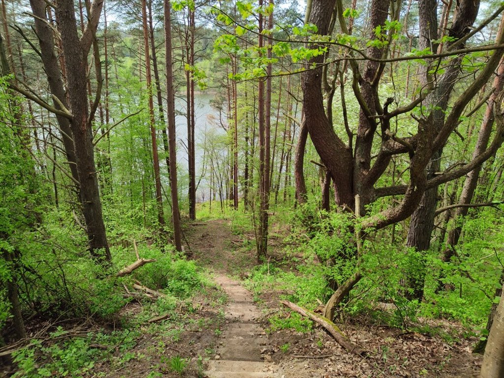 Działka inna na sprzedaż Danowo, Danowo  1 700m2 Foto 2