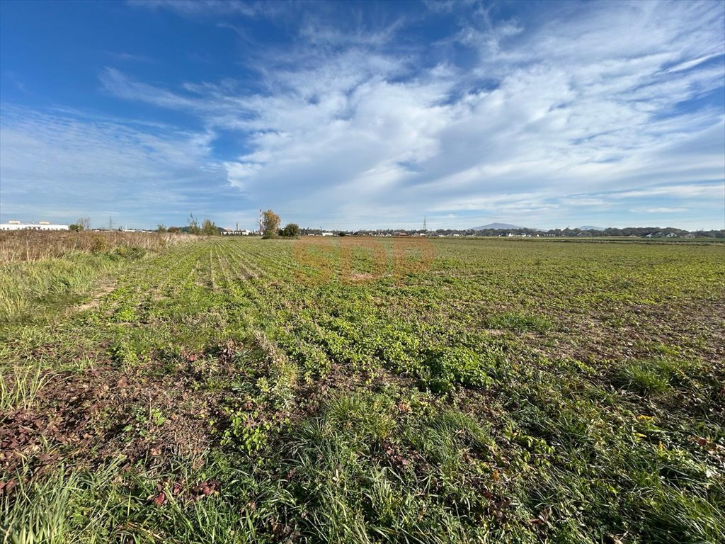 Działka inwestycyjna na sprzedaż Świdnica, Metalowców  26 723m2 Foto 4