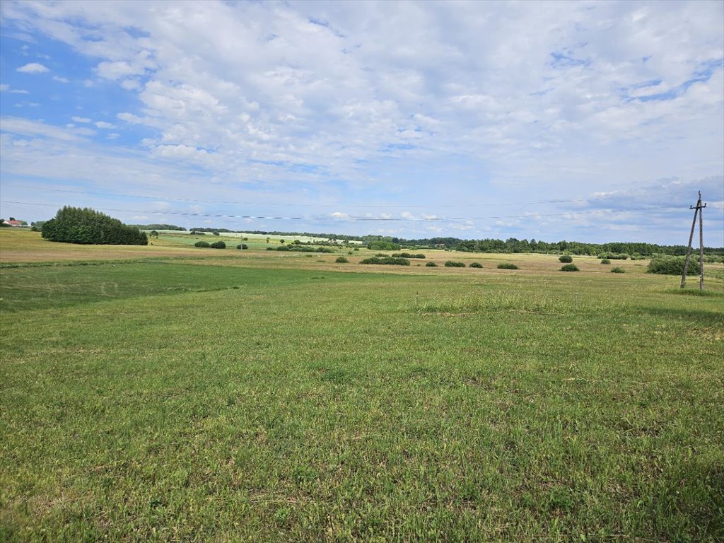 Działka budowlana na sprzedaż Radzieje  1 000m2 Foto 5