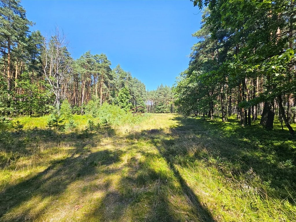 Działka budowlana na sprzedaż Ożarowice, Topolowa  4 973m2 Foto 1