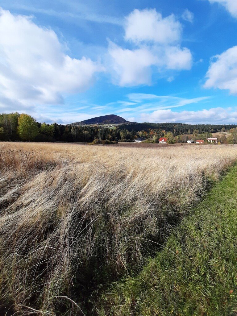 Działka budowlana na sprzedaż Ptaszkowa  1 100m2 Foto 12