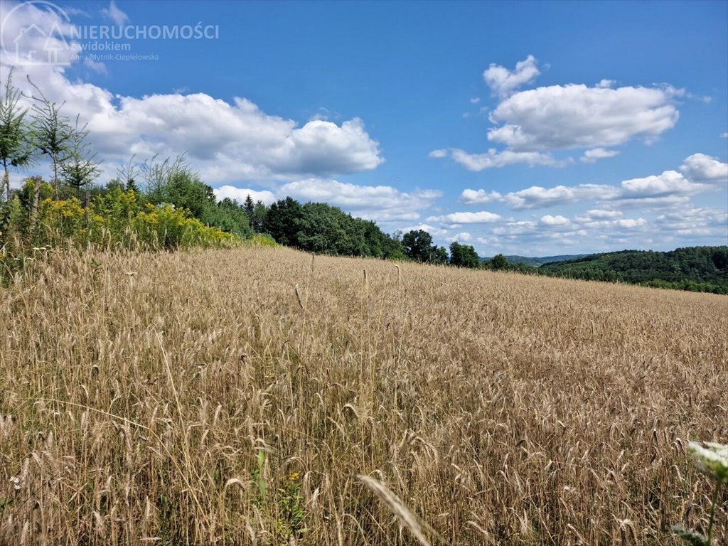 Działka budowlana na sprzedaż Błażkowa  2 200m2 Foto 3