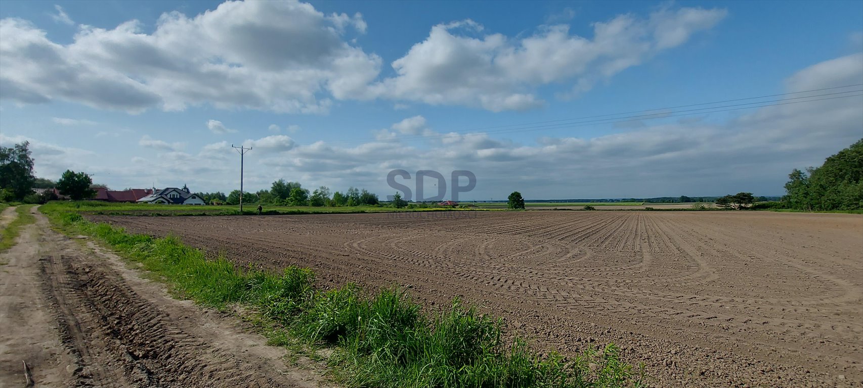 Działka rolna na sprzedaż Wilkszyn, Wilkszyn  5 900m2 Foto 2