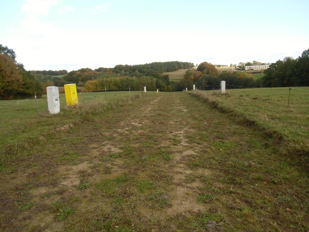 Działka budowlana na sprzedaż Przodkowo  1 279m2 Foto 1