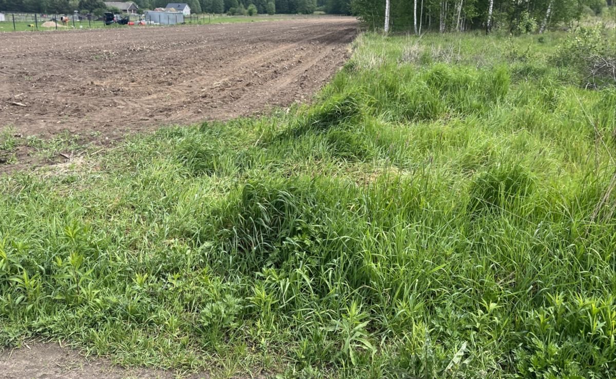 Działka gospodarstwo rolne na sprzedaż Trypucie  9 600m2 Foto 3