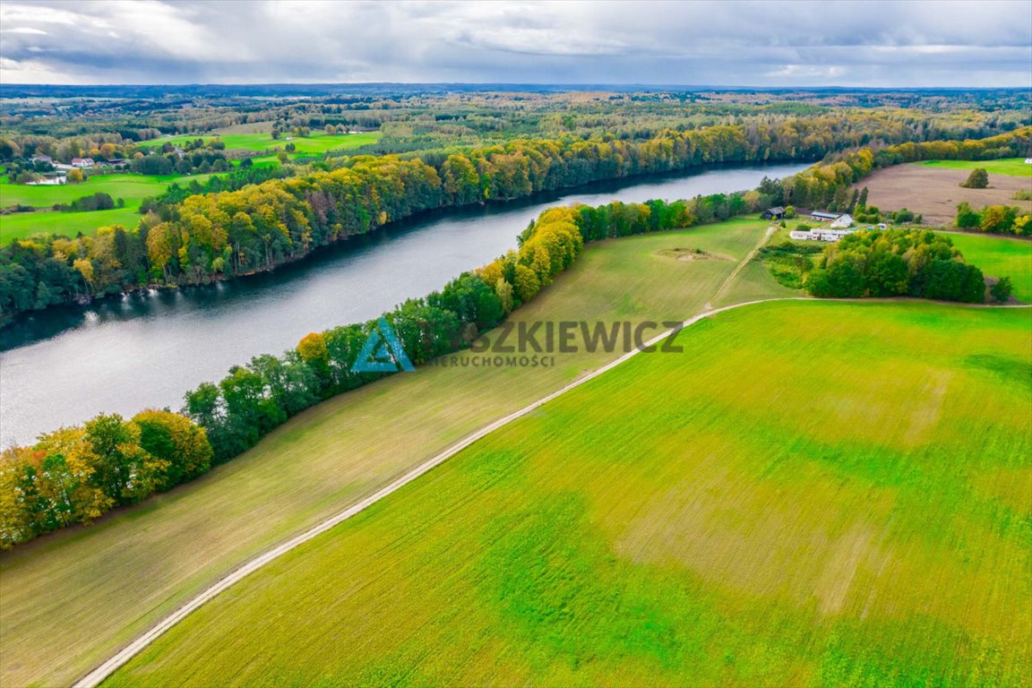 Działka rolna na sprzedaż Dolsko  9 500m2 Foto 3