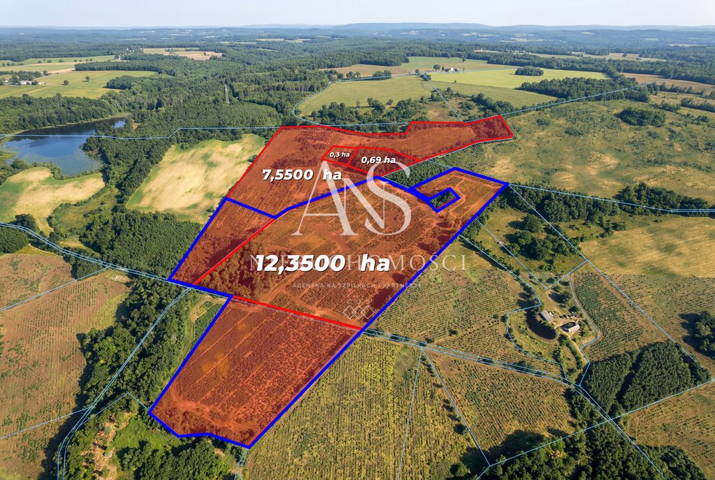 Kompleks działek 20,89 ha z różnorodną strukturą gruntów Kocury  208 900m2 Foto 1