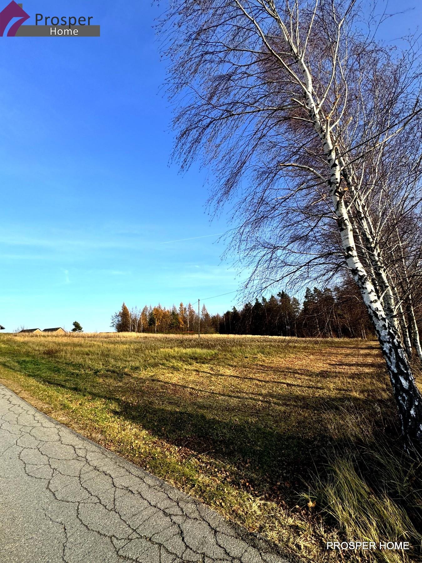 Działka budowlana na sprzedaż Mogielnica  3 522m2 Foto 4