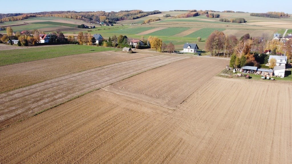 Działka budowlana na sprzedaż Wiercany  2 957m2 Foto 6