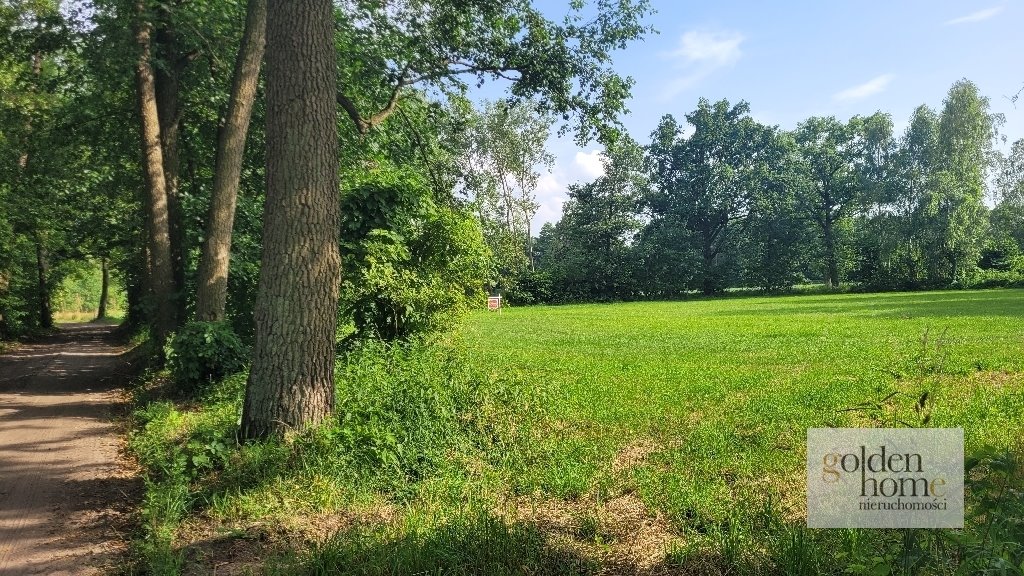 Działka budowlana na sprzedaż Kąkolewo, Albertowsko  5 000m2 Foto 4