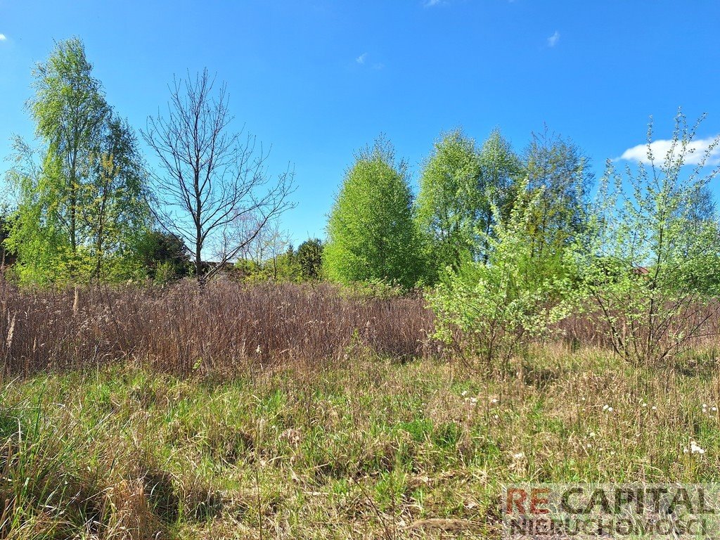 Działka budowlana na sprzedaż Janów  802m2 Foto 2