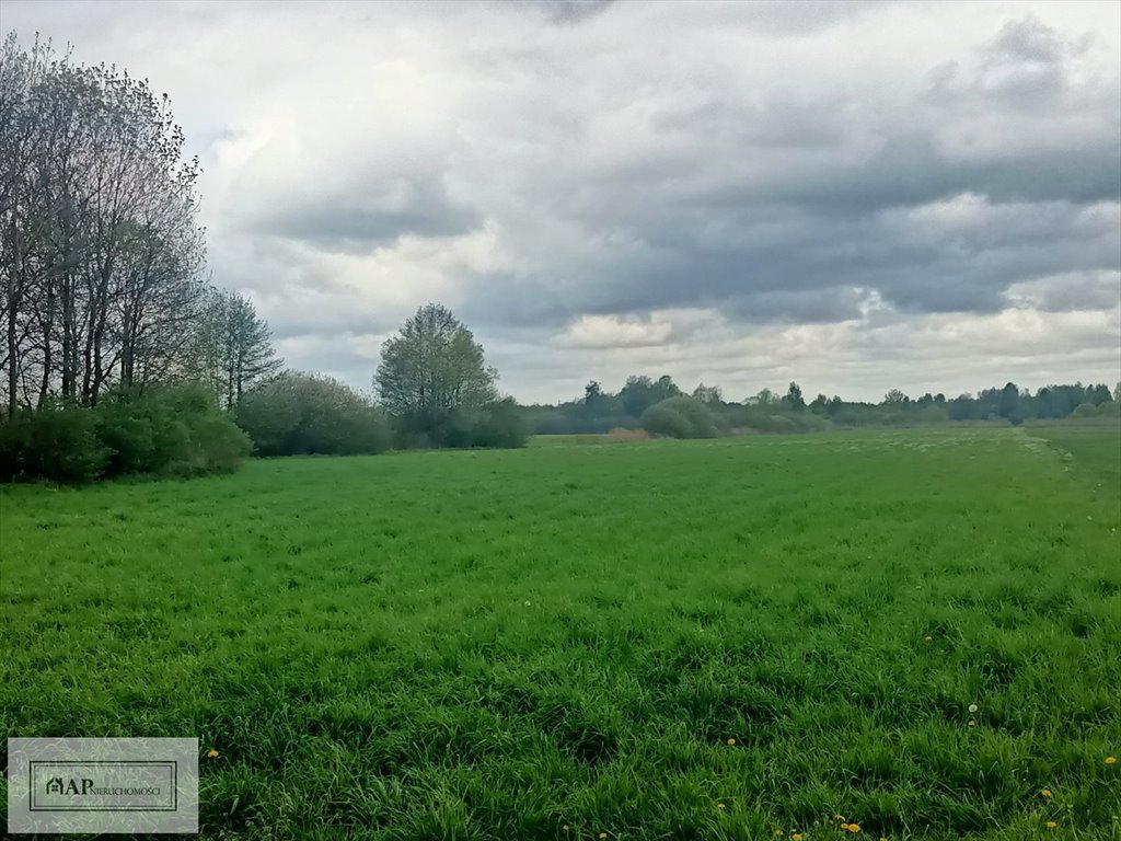 Gospodarstwo rolne 57 000 m² z budynkami i potencjałem Jabłków  57 000m2 Foto 1