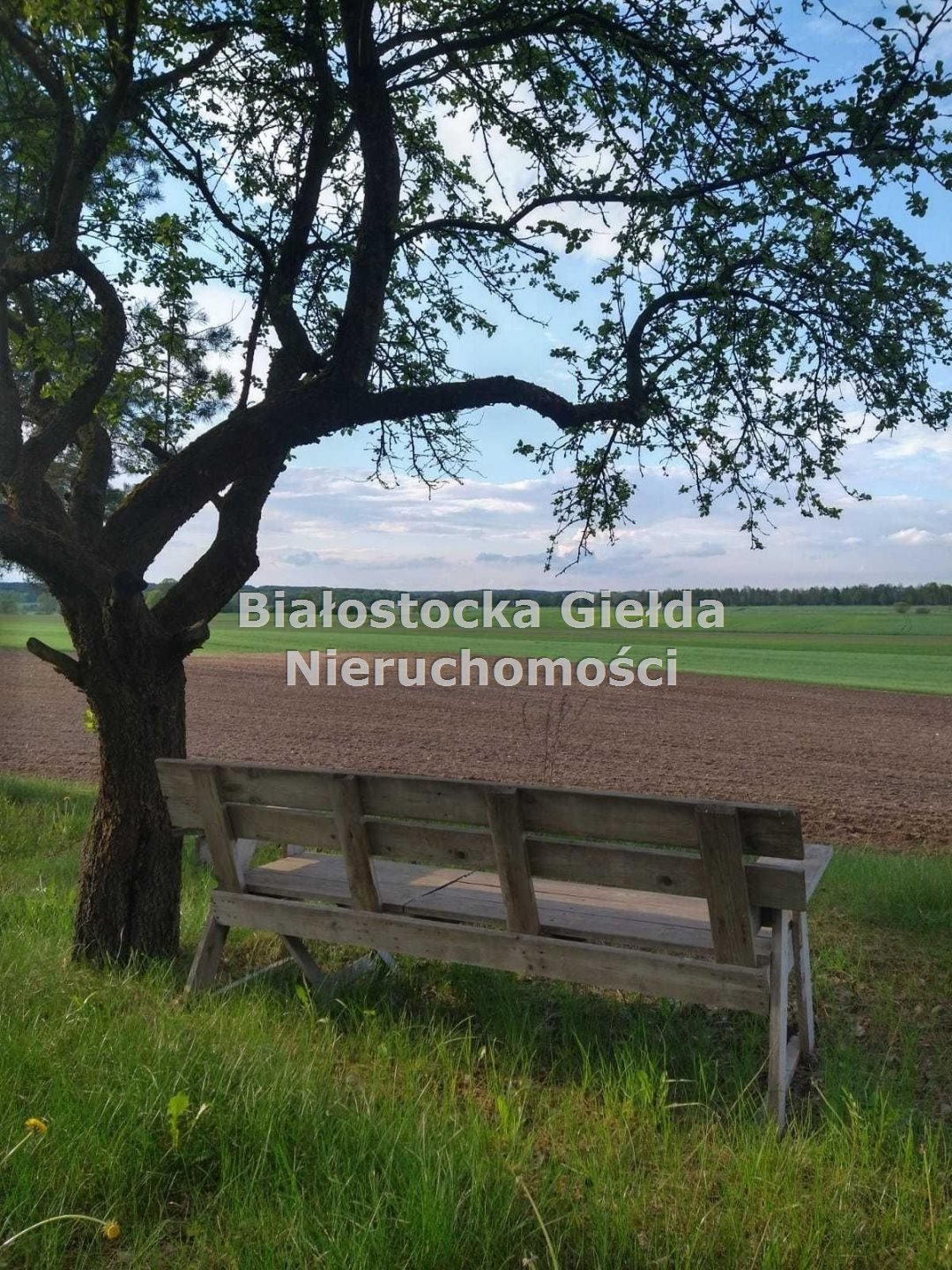 Działka budowlana na sprzedaż Ozierany Małe  13 796m2 Foto 3