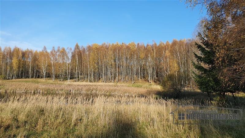 Działka inna na sprzedaż Przeradz, działki  43 278m2 Foto 11