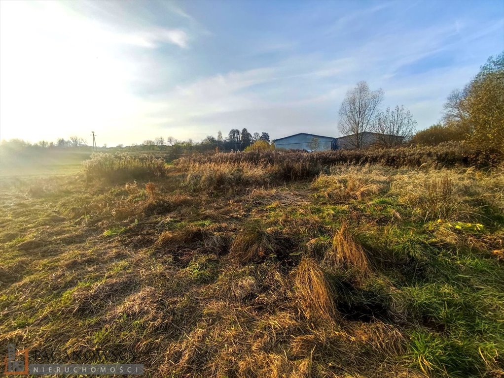 Działka budowlana na sprzedaż Bosutów  3 100m2 Foto 2